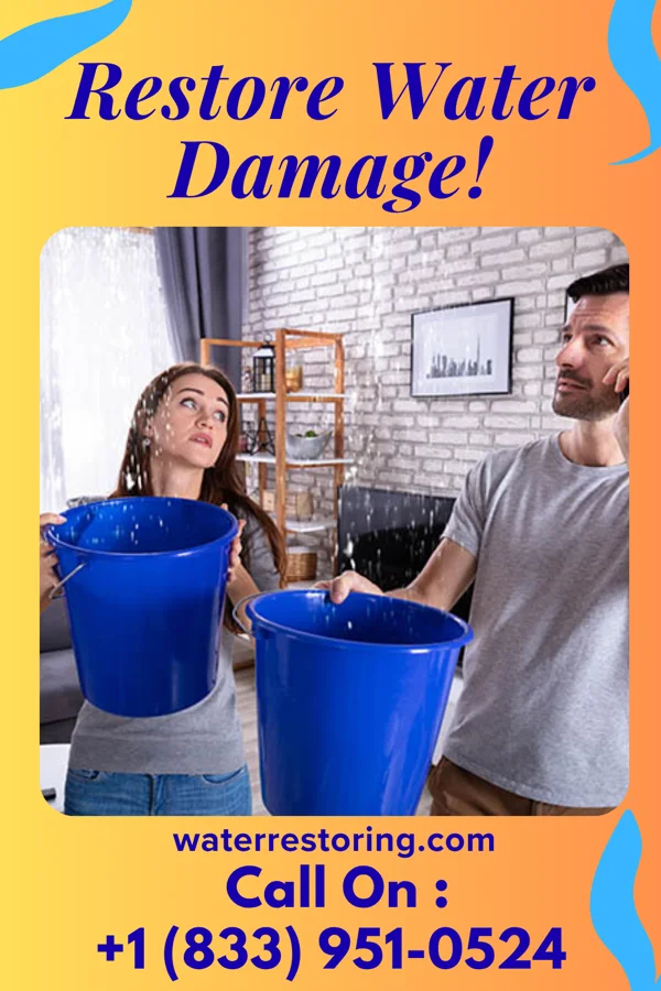 water restoration Expert Water Solutions Authority Gatewood