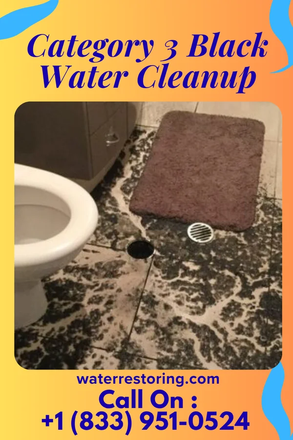 Category 3 Black Water Cleanup in Gatewood, WV