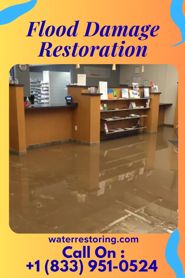 Flood Damage Restoration in Gatewood, WV