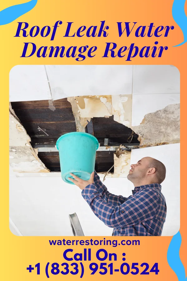 Roof Leak Water Damage Repair in Gatewood, WV