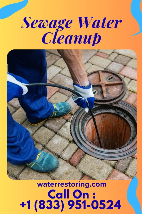 Sewage Water Cleanup in Gatewood, WV